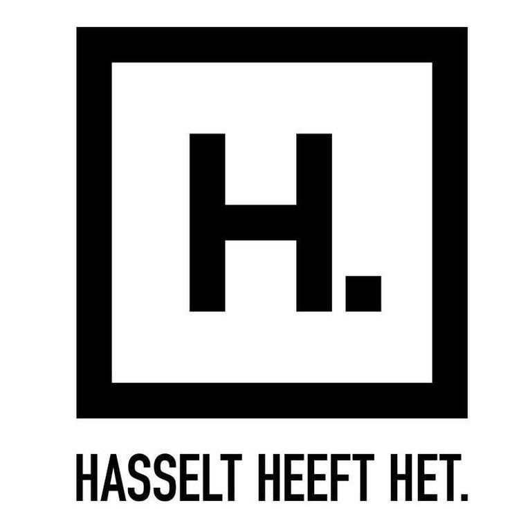 Stad Hasselt <br>Voor de Dienst Diversiteit en Gelijke Kansen organiseren en faciliteren we burgerinspraak rond het thema internationale solidariteit. Dit krijgt vorm in halfjaarlijkse inspraakfora.